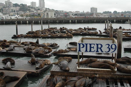 Pier 39