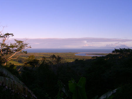 Cape Tribulation