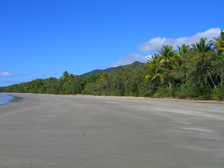 Cape Trib