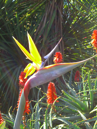 Botanical Garden